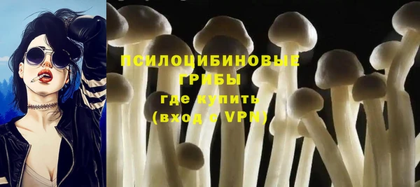 PSILOCYBIN Балабаново