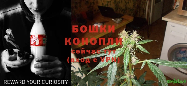 PSILOCYBIN Балабаново