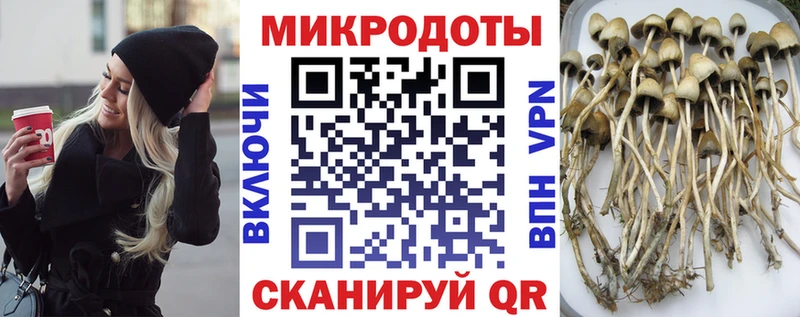 нарко площадка состав  Олёкминск  Галлюциногенные грибы мухоморы  blacksprut  